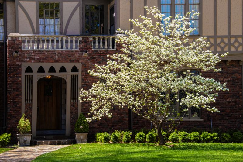 Dogwood Tree Removal