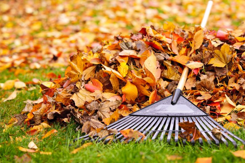 Clean Yard