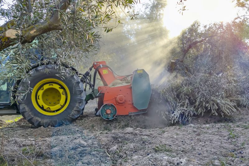 Tree Removal Equipment in Action