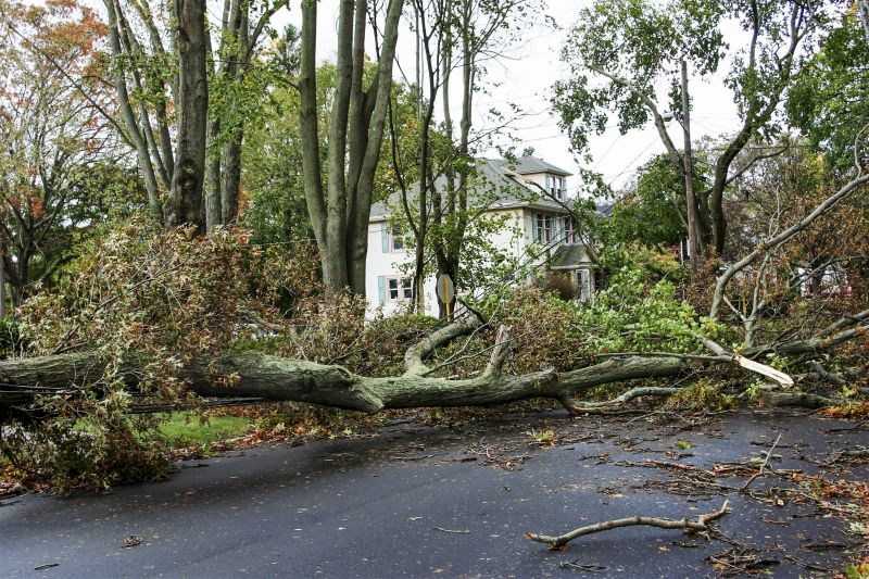 Cleared Property