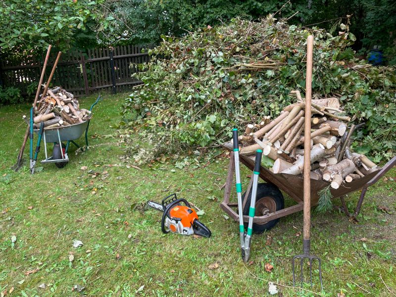 Finished Tree Removal Site