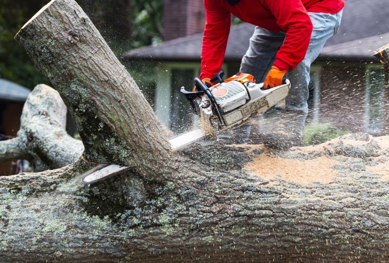Tree Health Monitoring