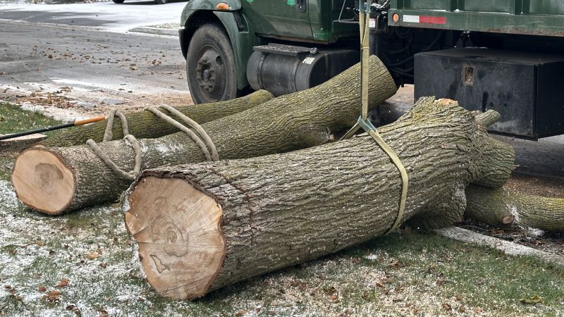 Land Clearing